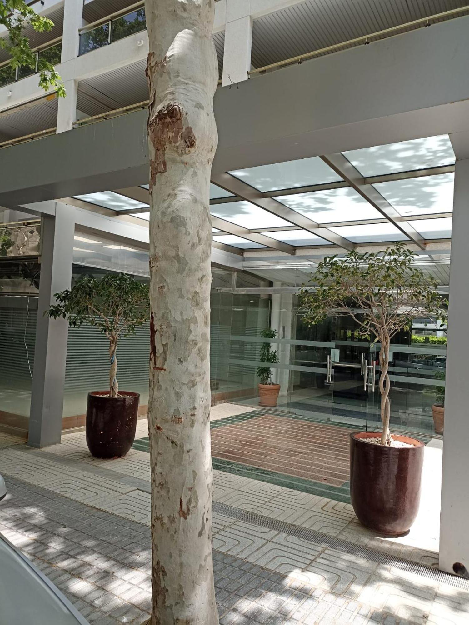 Michelangelo Apartment Salou Bagian luar foto